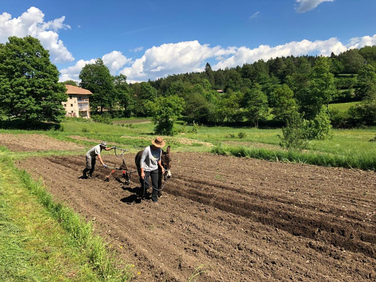 Apartamento Bauernhof Hof Unternberg Magre all' Adige Exterior foto